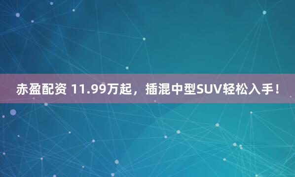 赤盈配资 11.99万起，插混中型SUV轻松入手！