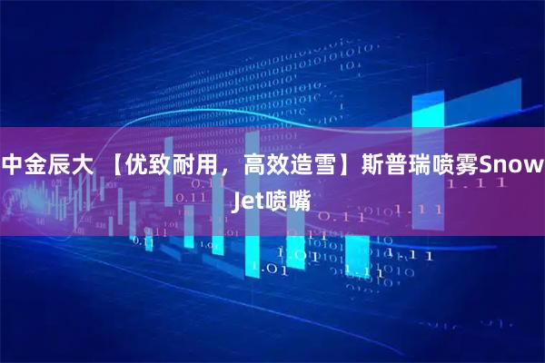 中金辰大 【优致耐用，高效造雪】斯普瑞喷雾SnowJet喷嘴