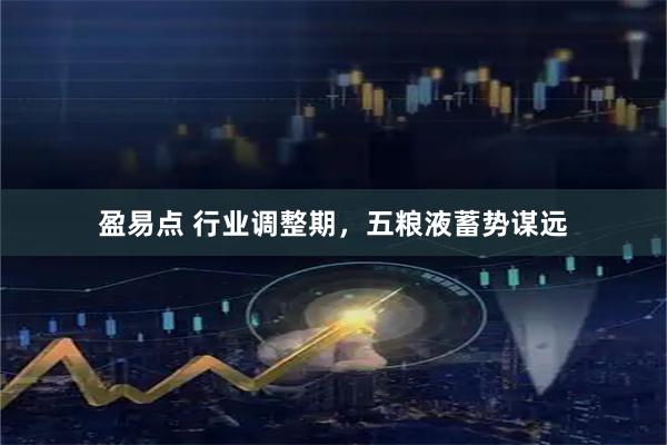盈易点 行业调整期，五粮液蓄势谋远